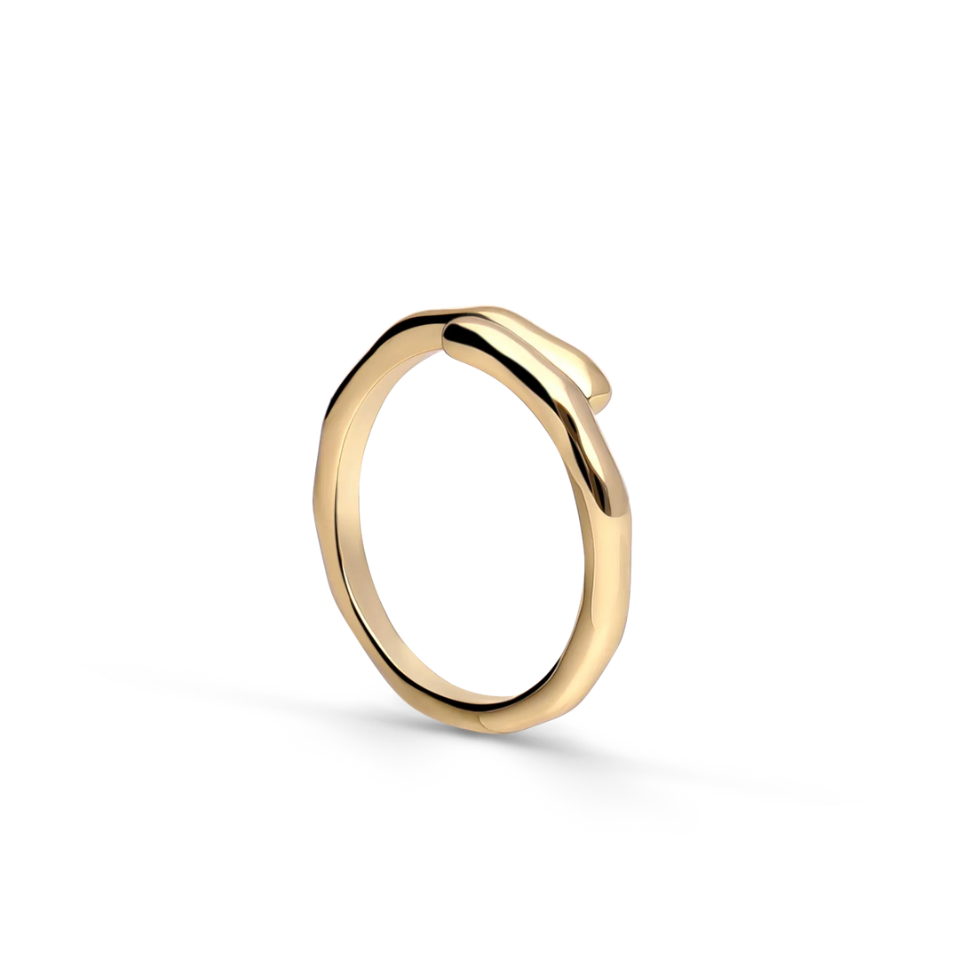 Unbroken Line Ring